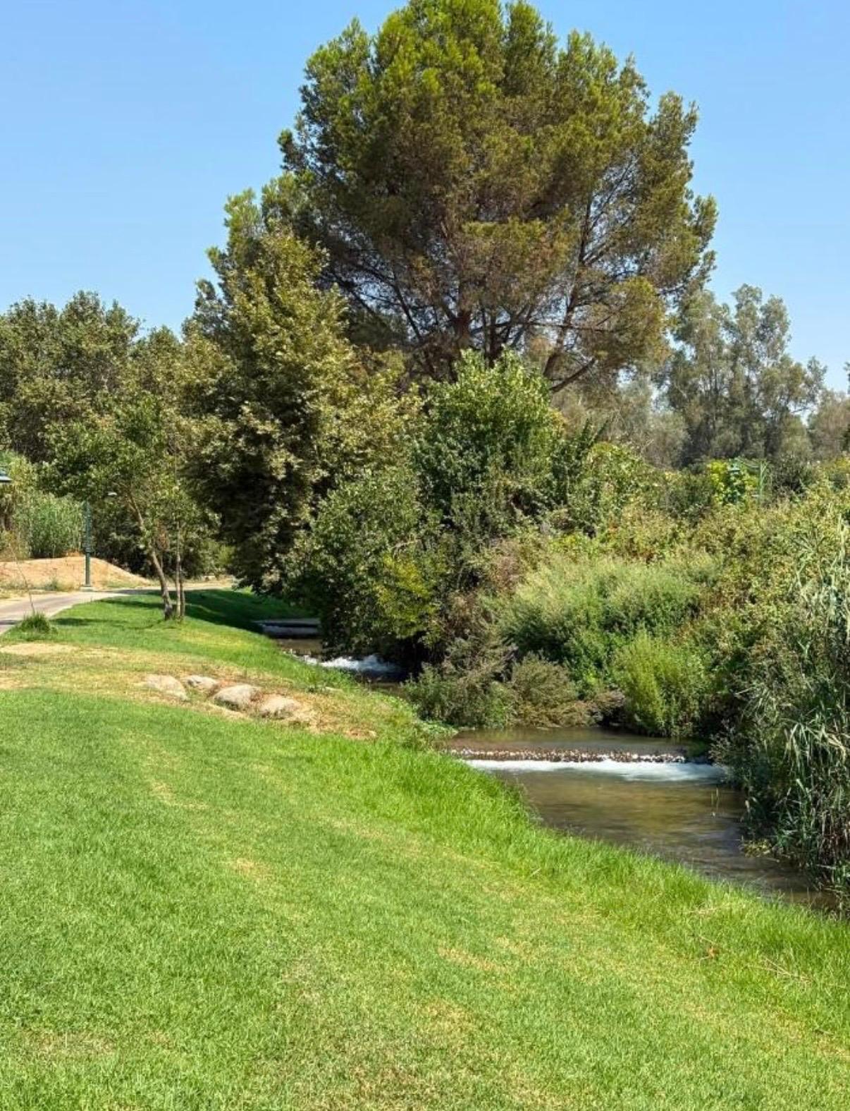 מדשאה ירוקה לאורך הנחל בקיבוץ הגושרים